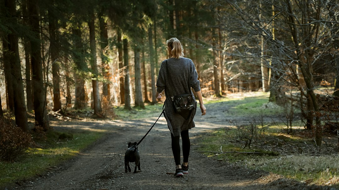 Woman walking with a black Labrador outdoors