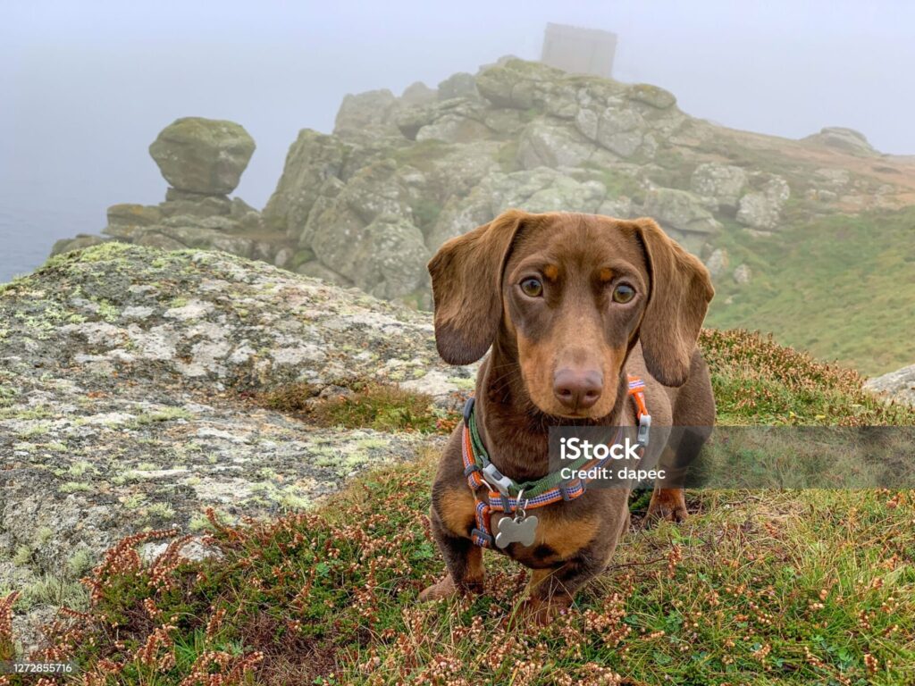 istockphoto 1272855716 2048x2048 1
